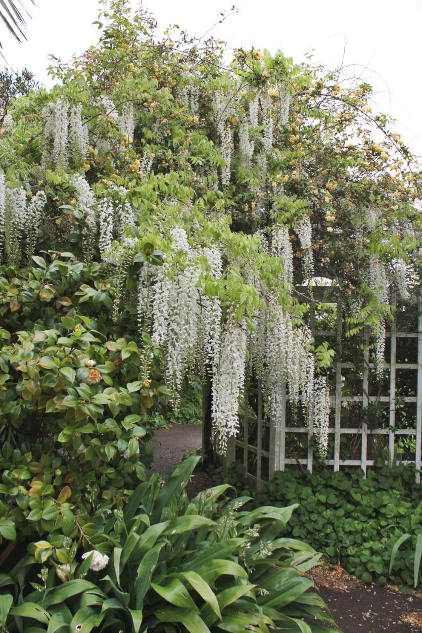 Browns Boutique Bed And Breakfast Whanganui Exteriör bild