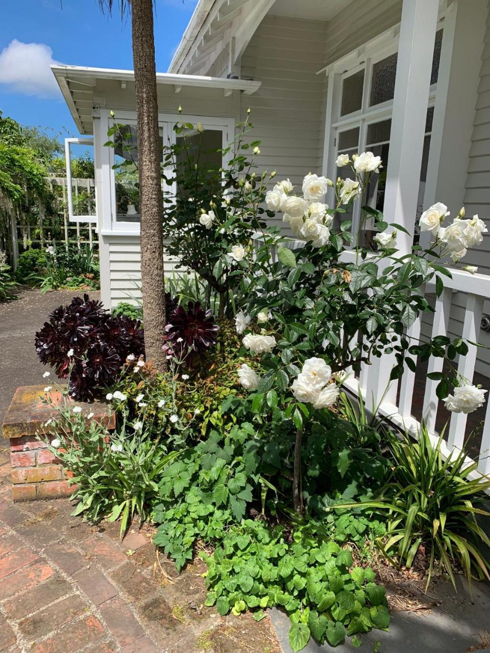 Browns Boutique Bed And Breakfast Whanganui Exteriör bild